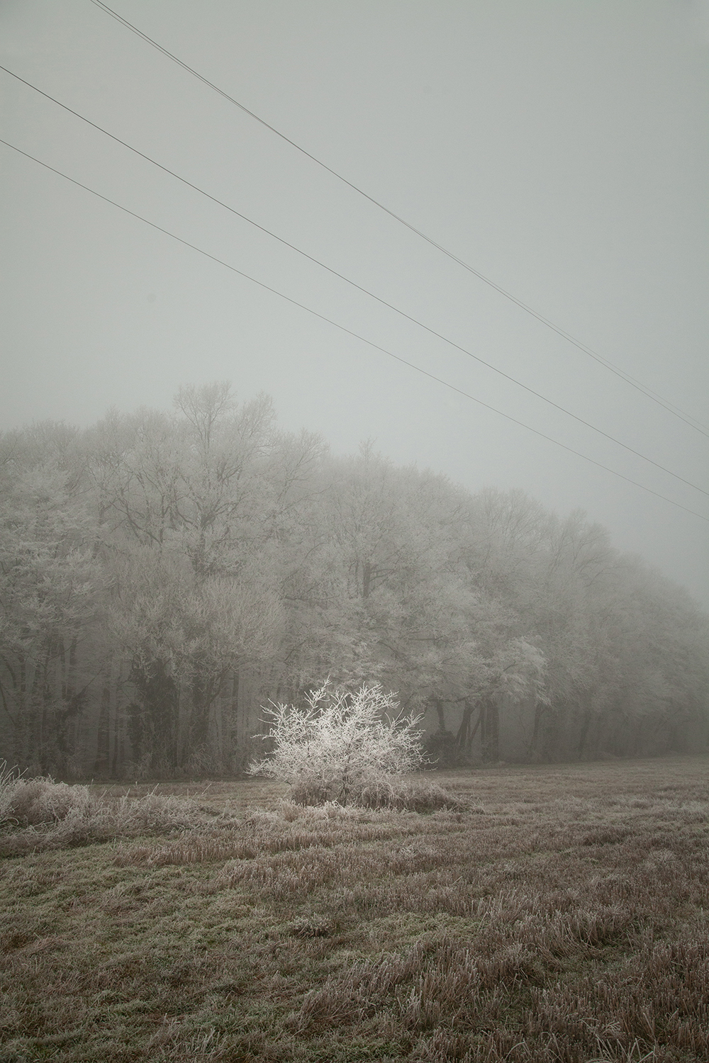 Hiver Couleur