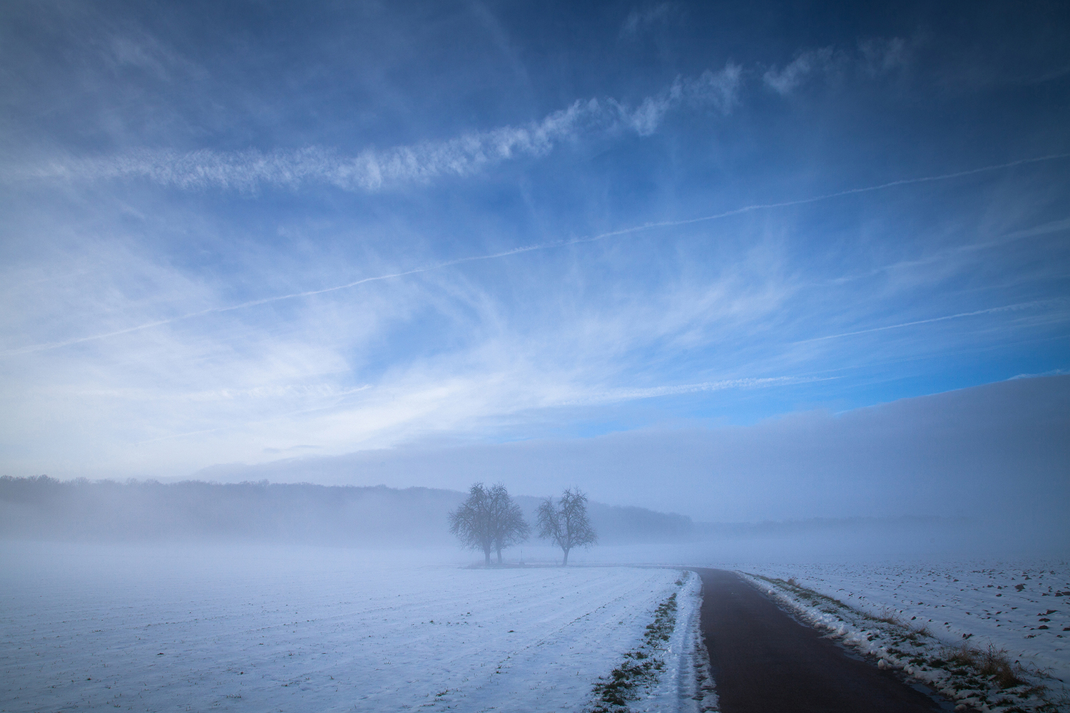 Hiver Couleur